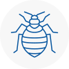 Bed Bug Extermination In West Byfleet