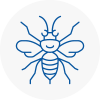 West Byfleet Hornet Nest Removals