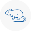 Rat Control West Byfleet