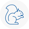 West Byfleet Rodent Removals